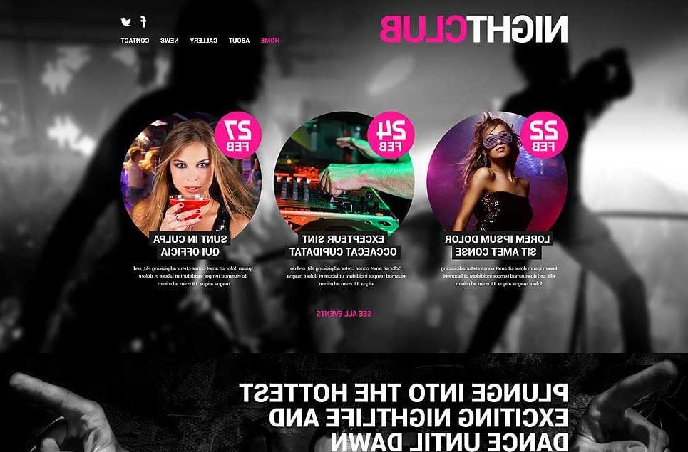 Night Club Euphoria WordPress Theme